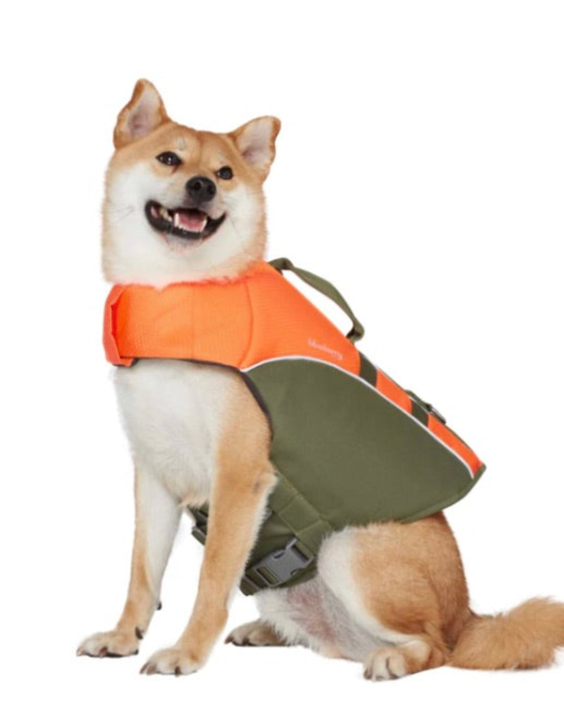 La veste de sauvetage pour chien deux tons