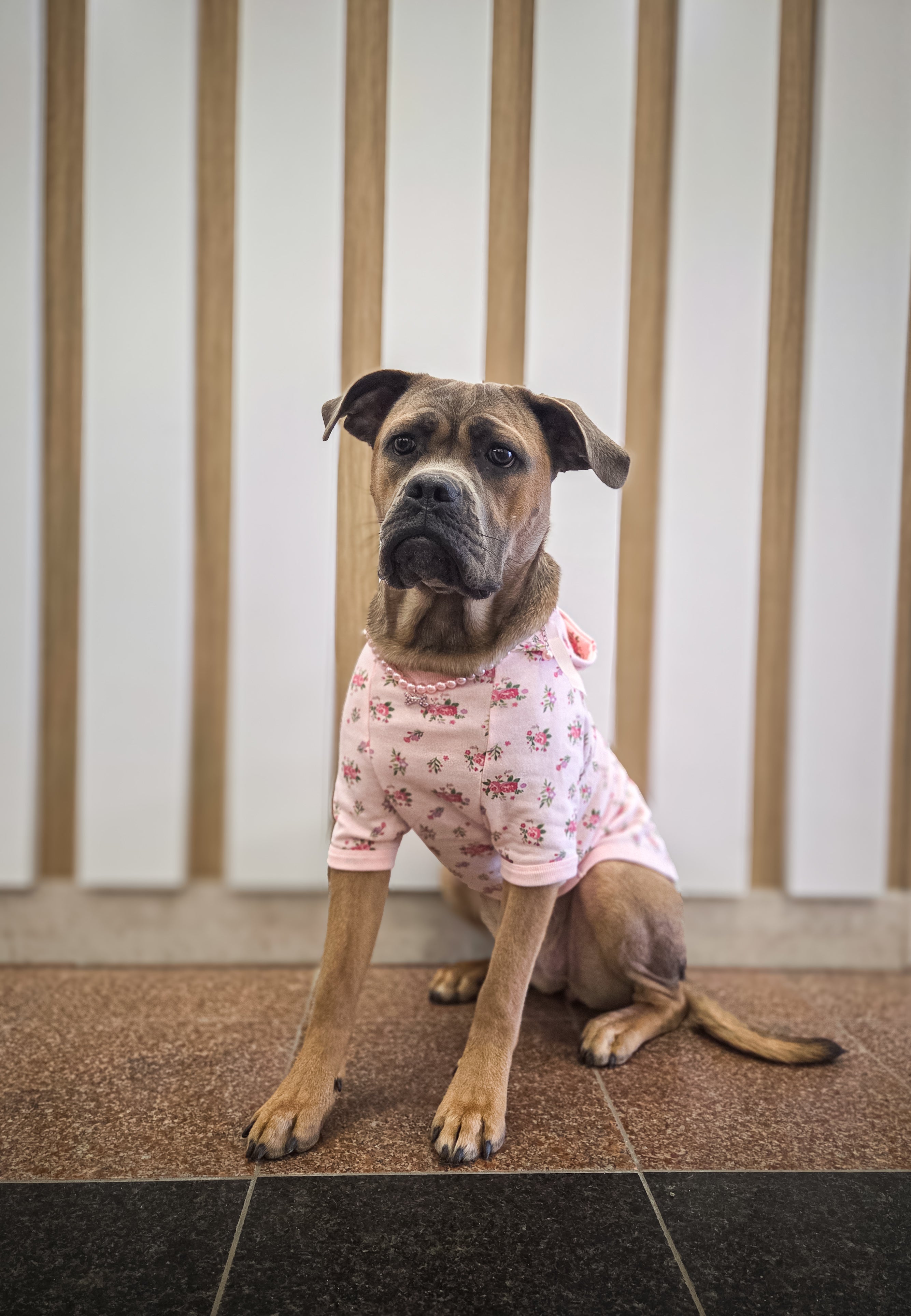 Le coton ouaté pour chien rose fleuri