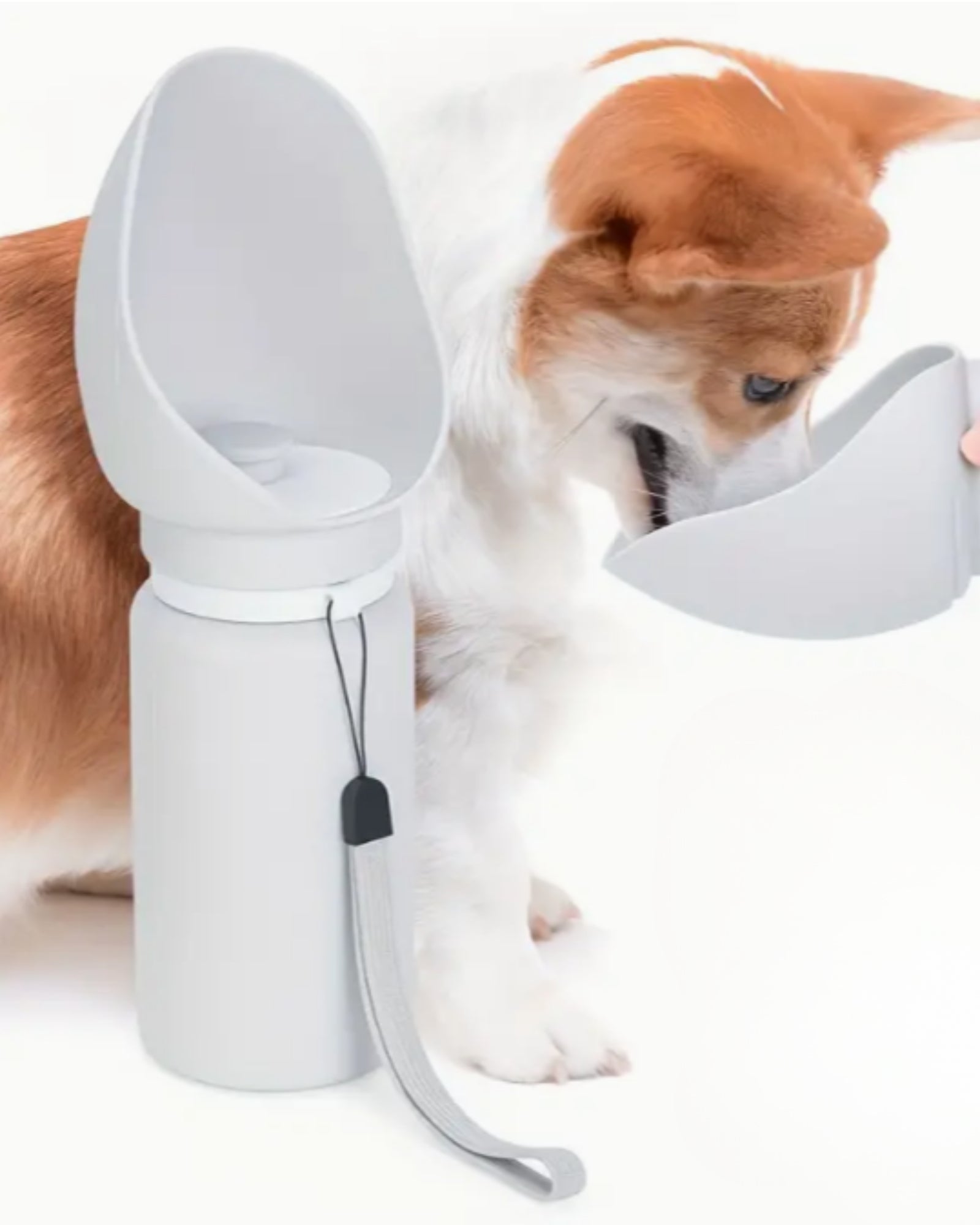 La bouteille d'eau pliable pour chien