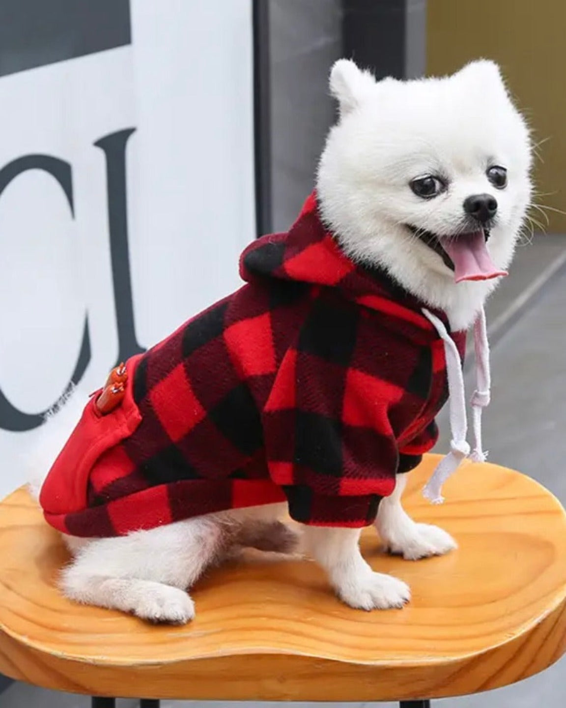 Hooded cotton for lumberjack dogs
