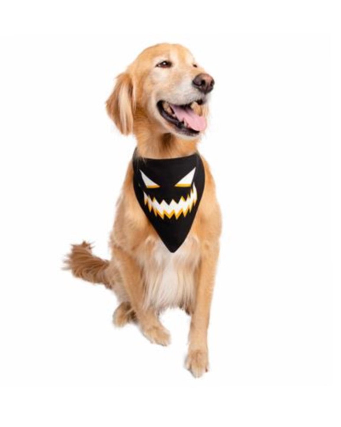 Le foulard pour chien Halloween