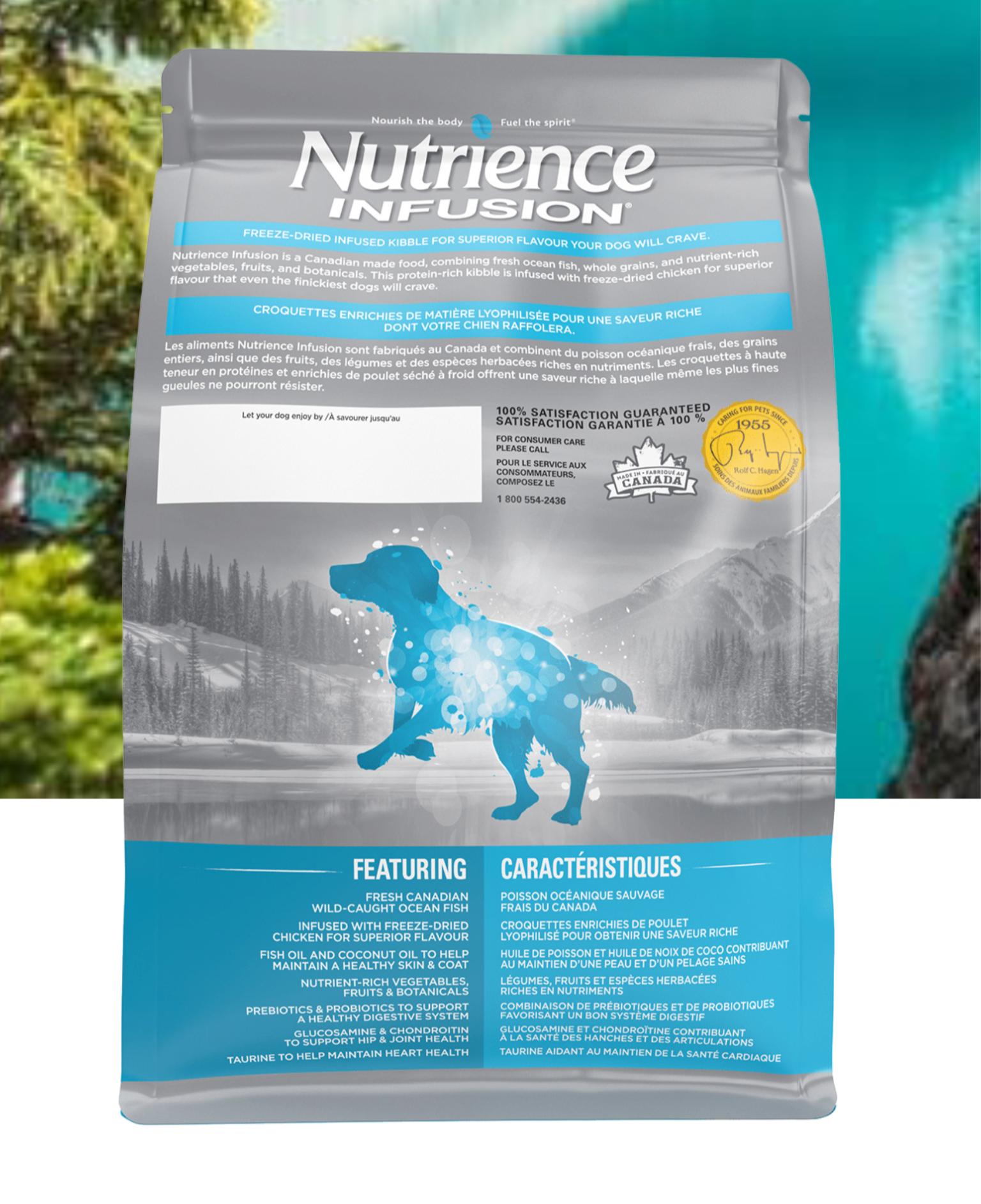 Adultes en santé - Nutrience infusion