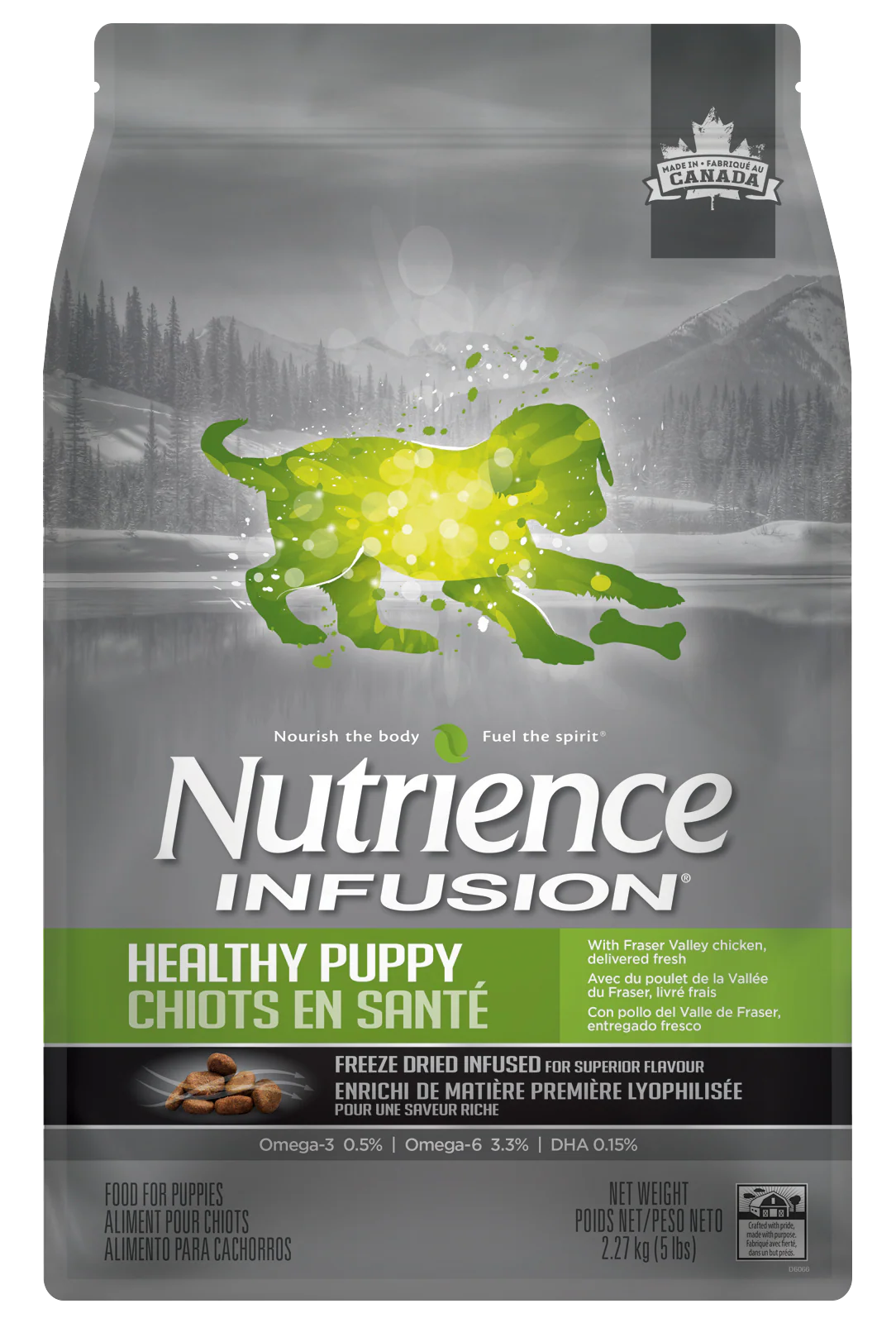 Chiots en santé - Nutrience infusion