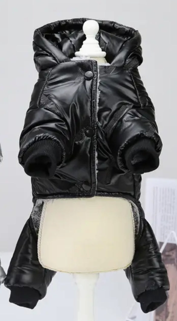 Le manteau chic noir pour chien