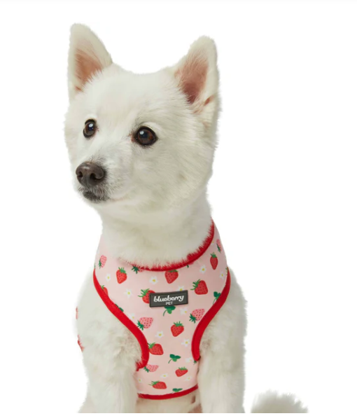 Le harnais pour chien fraise