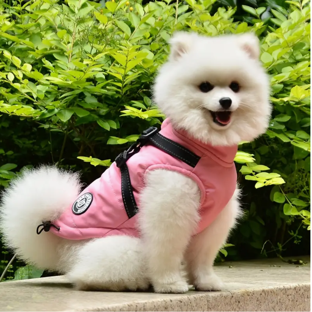 Pink harness dog coat