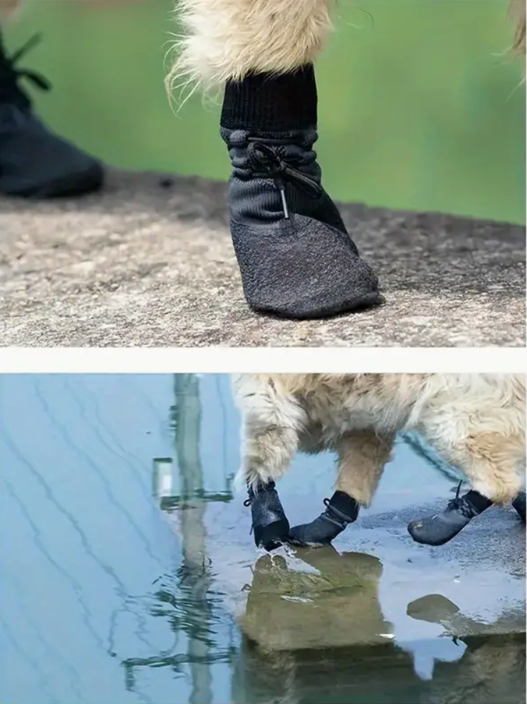 Les bottes pour chien avec lacets