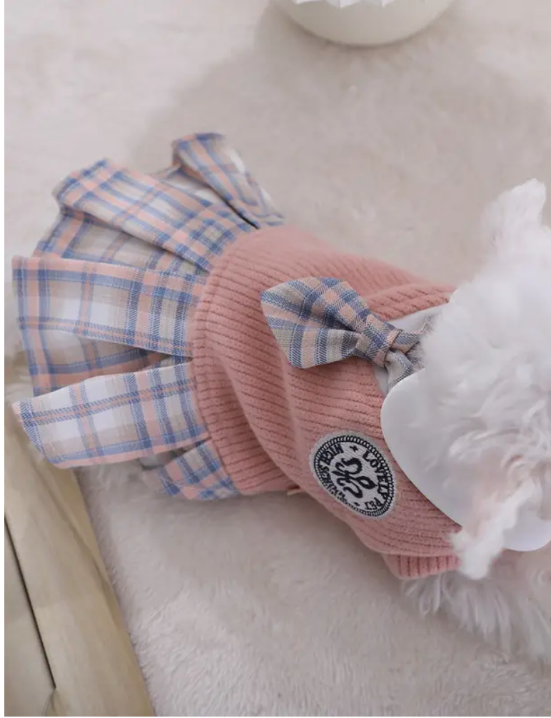 La robe pour chien écolière rose