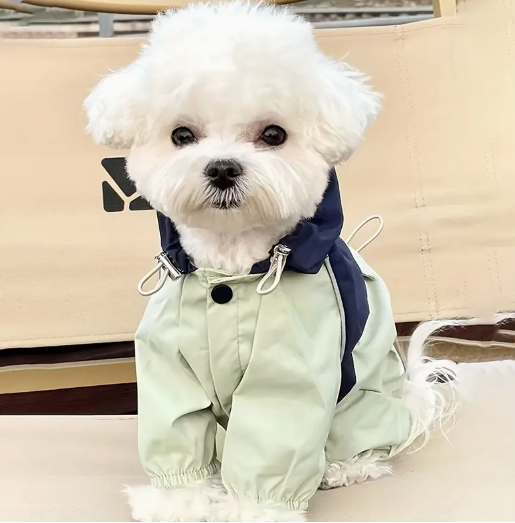 L'imperméable pour chien matcha