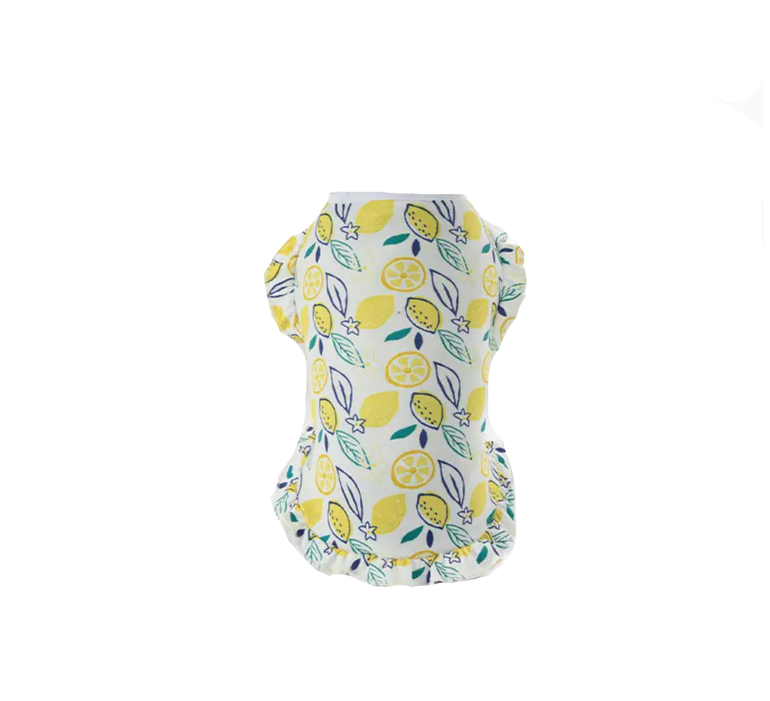La tenue d'été pour chien à motifs