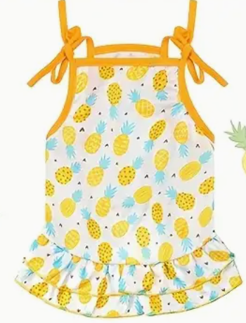 La robe pour chien ananas