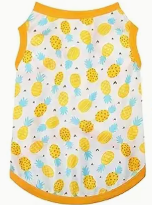 Le chandail pour chien ananas