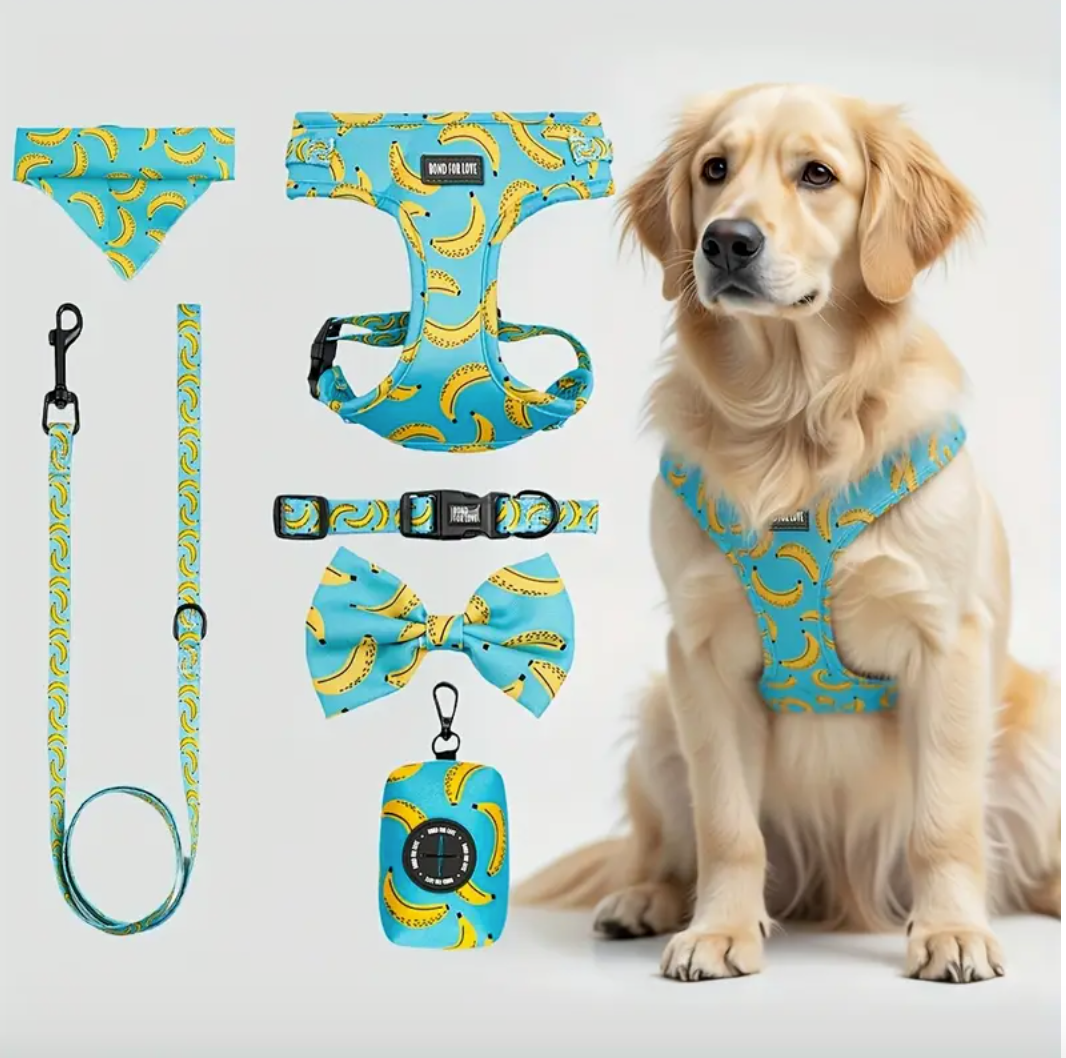 L'ensemble de marche pour chien banane