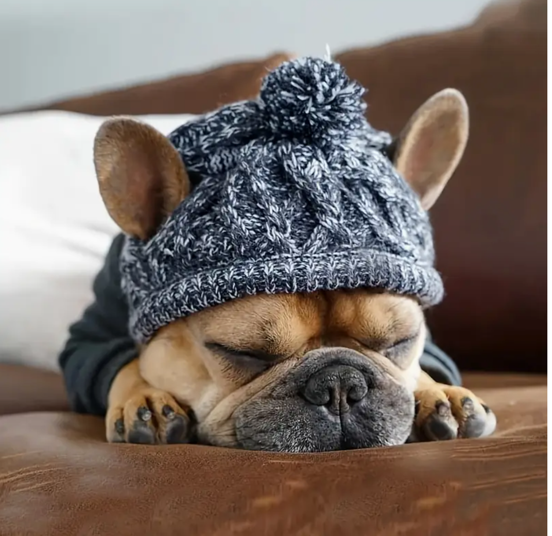 La tuque pompom