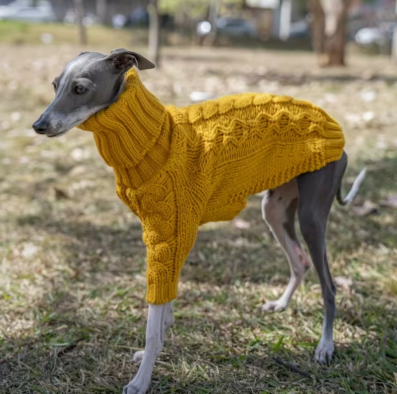 Le tricot pour chien jaune moutarde