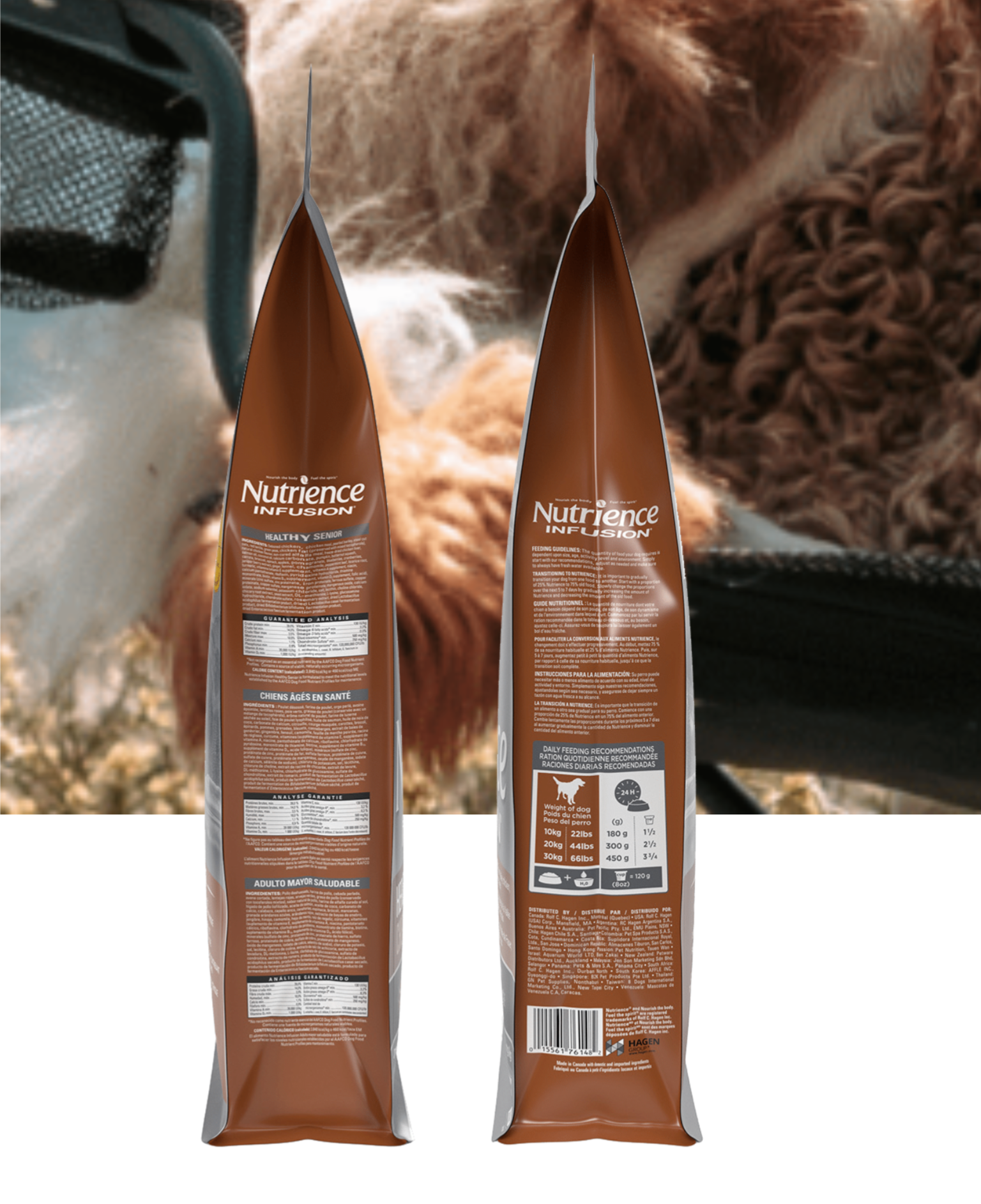Senior âges en santé - Nutrience infusion