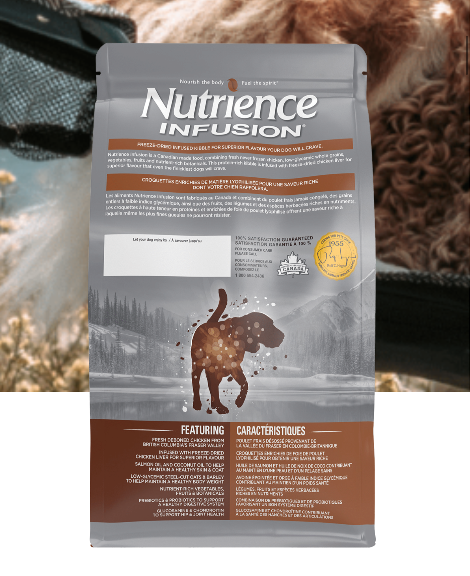 Senior âges en santé - Nutrience infusion