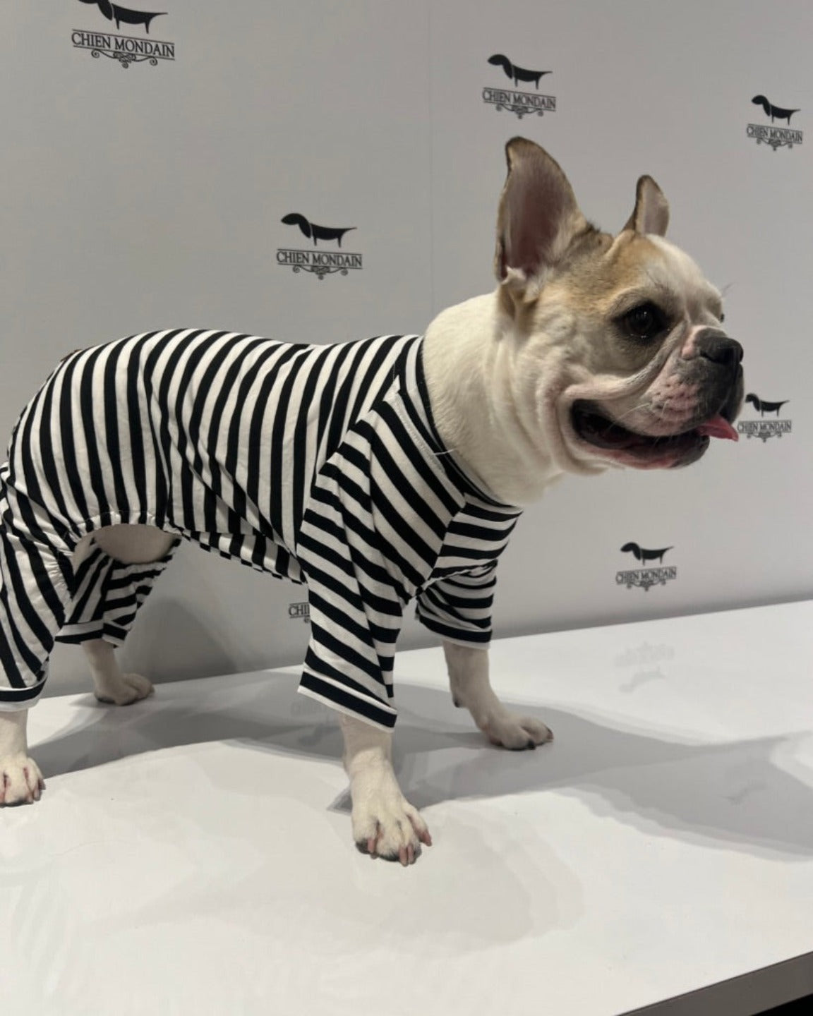Le pyjama pour chien ligné noir et blanc