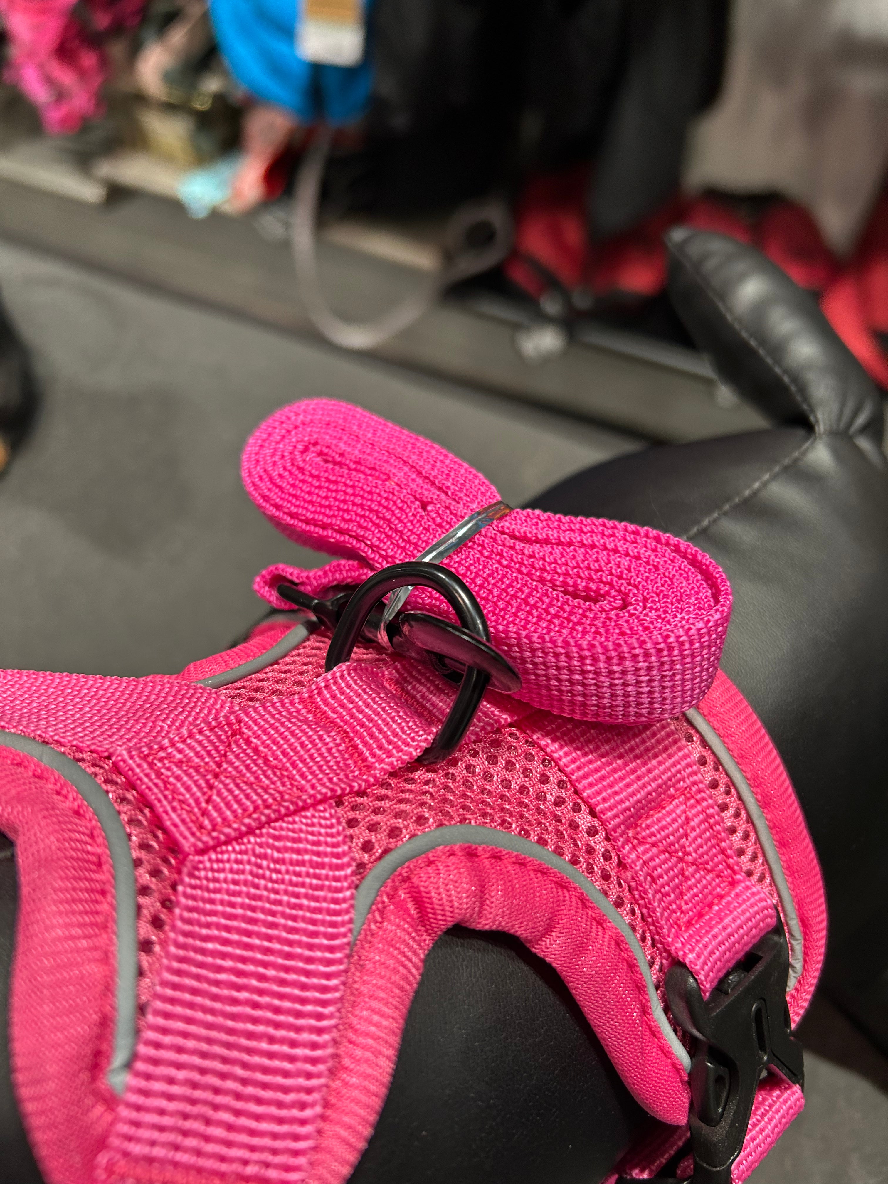 Adjustable harness and matching leash set