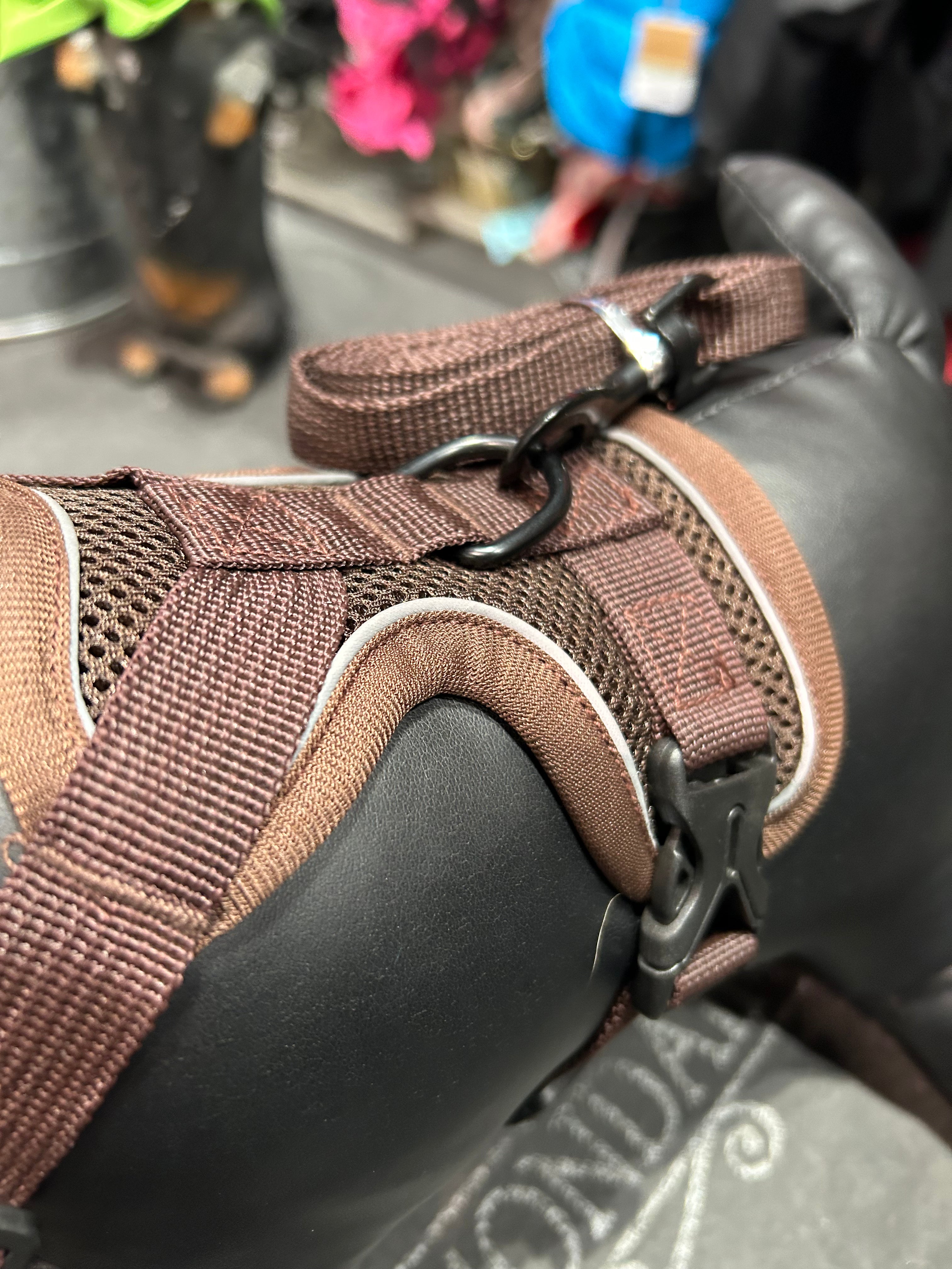 Adjustable harness and matching leash set