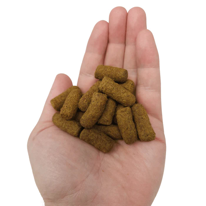 Gold Flex Dog Treat Supplements