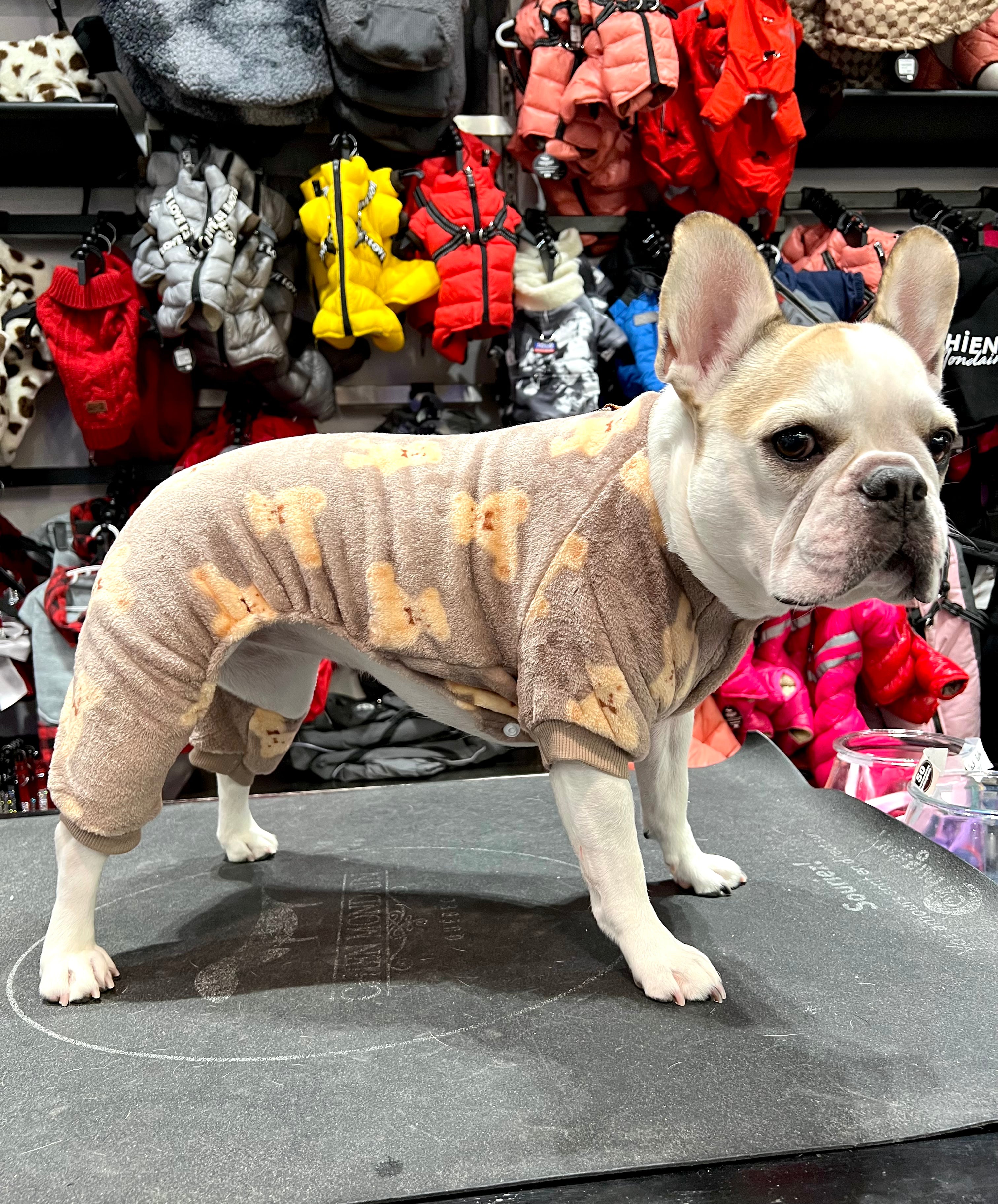 Le pyjama pour chien ourson