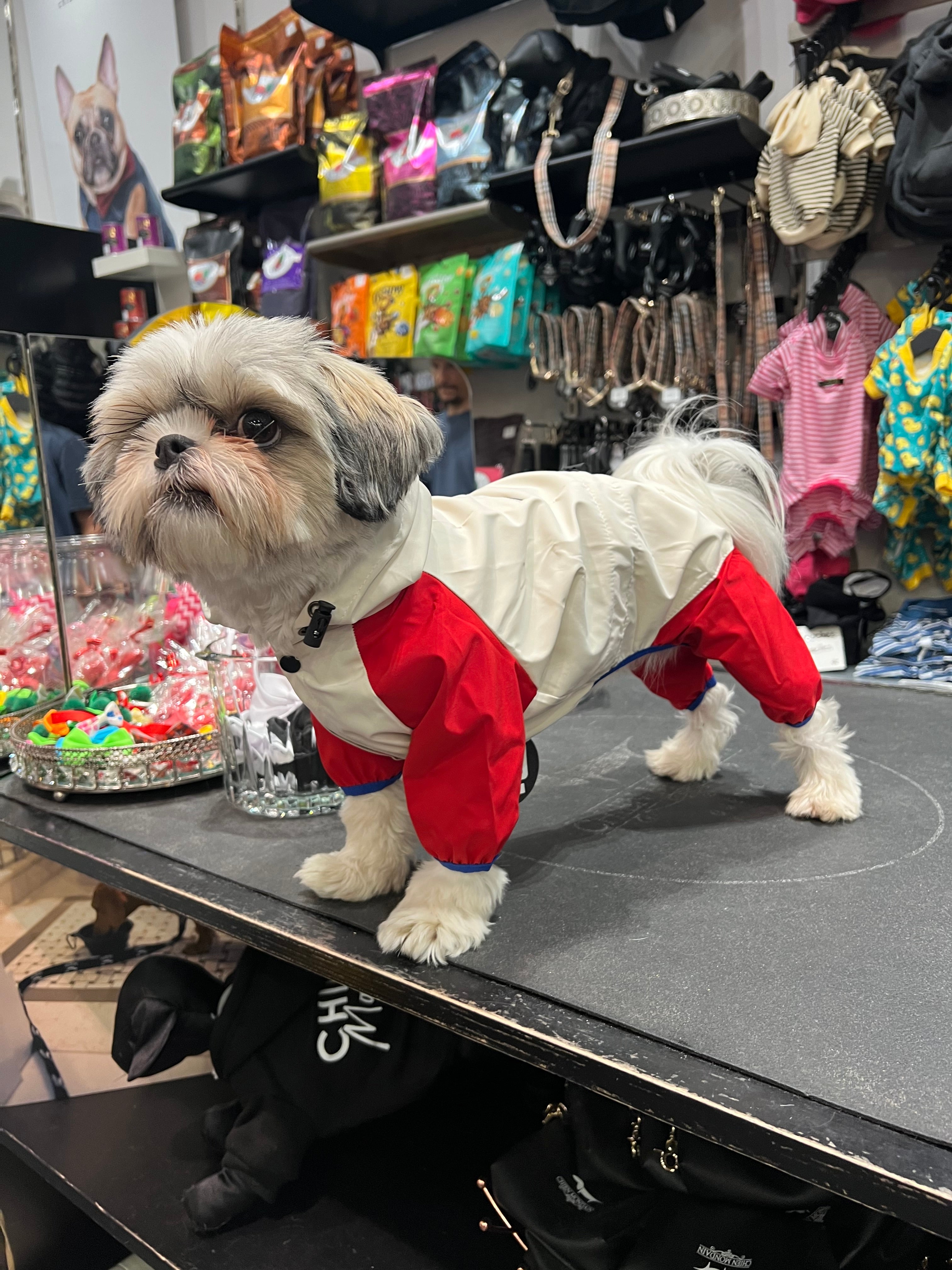 The monochrome dog raincoat