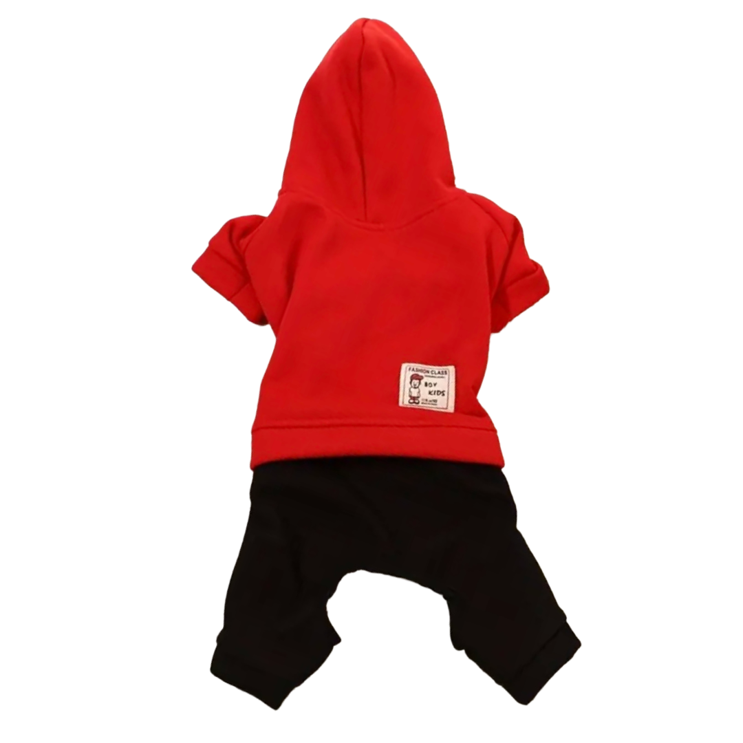 Dog hoodie and pants set