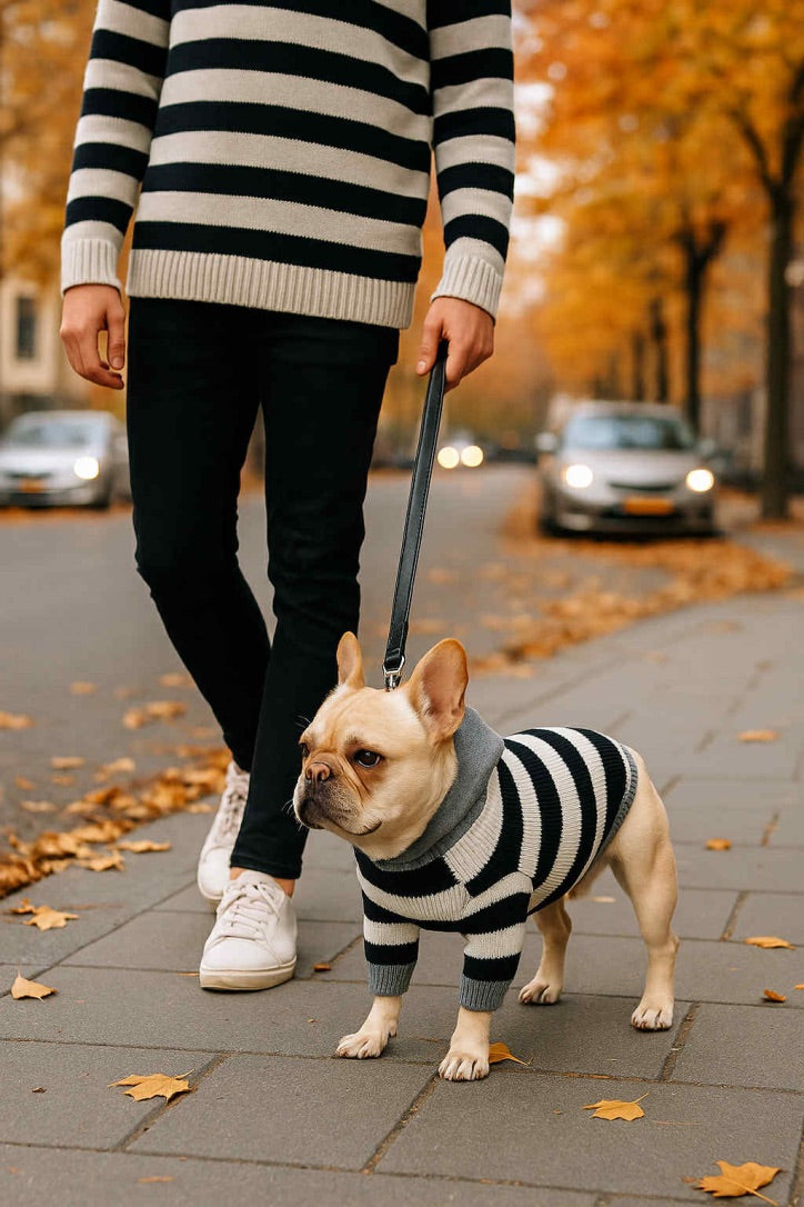 Black and white striped cotton fleece for dogs