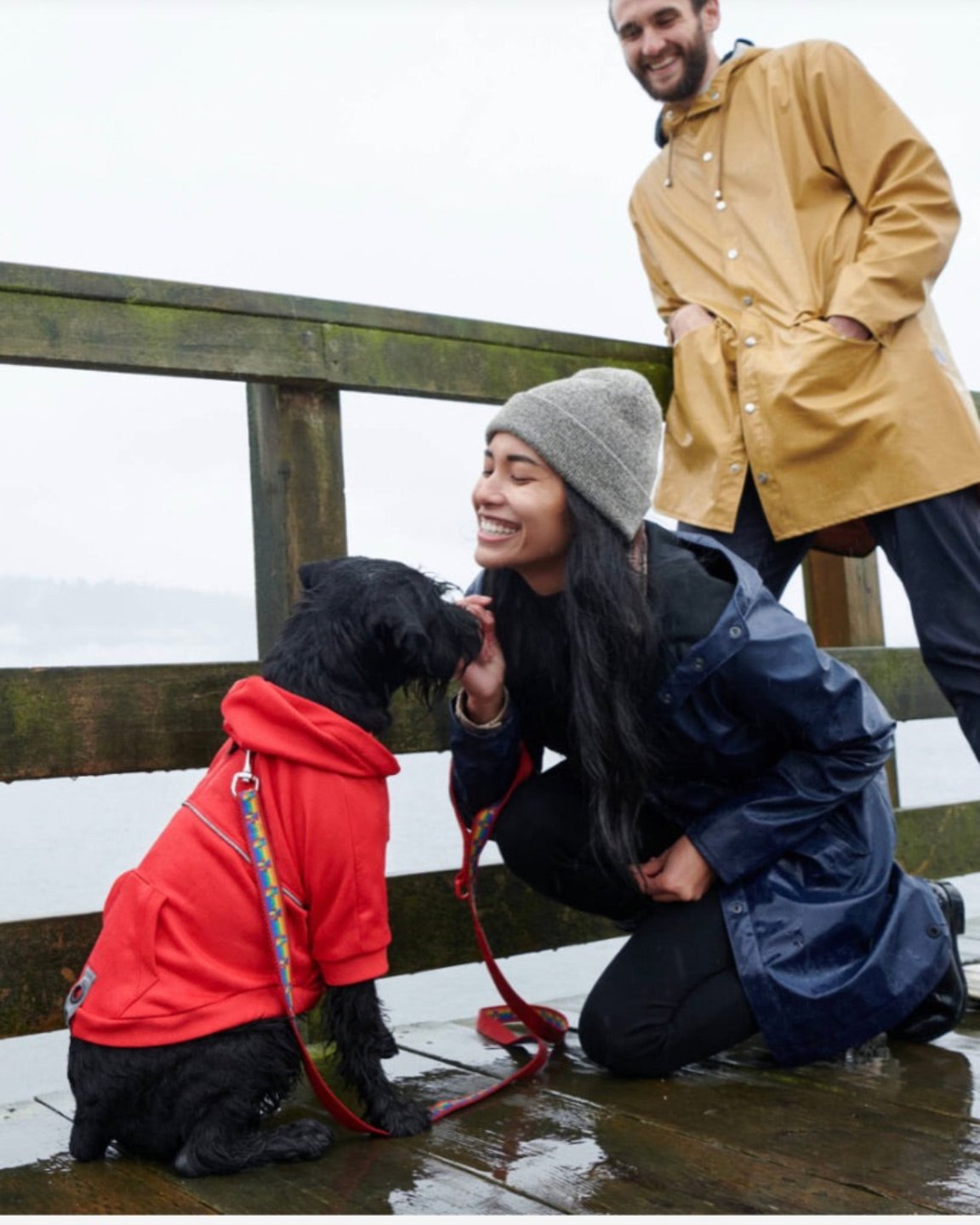 Le coton ouaté pour chien rouge sport