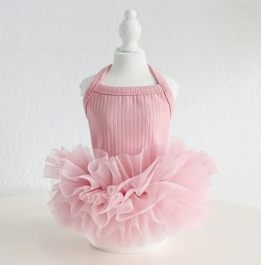 La robe pour chien ballerine