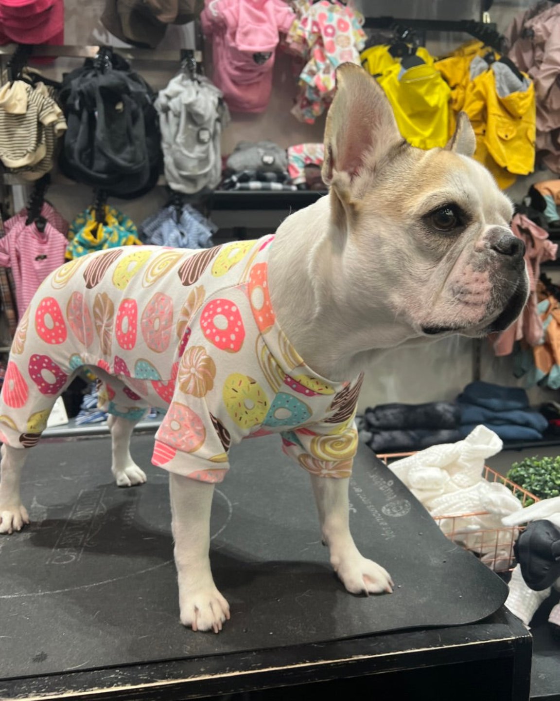 Donut dog pajamas