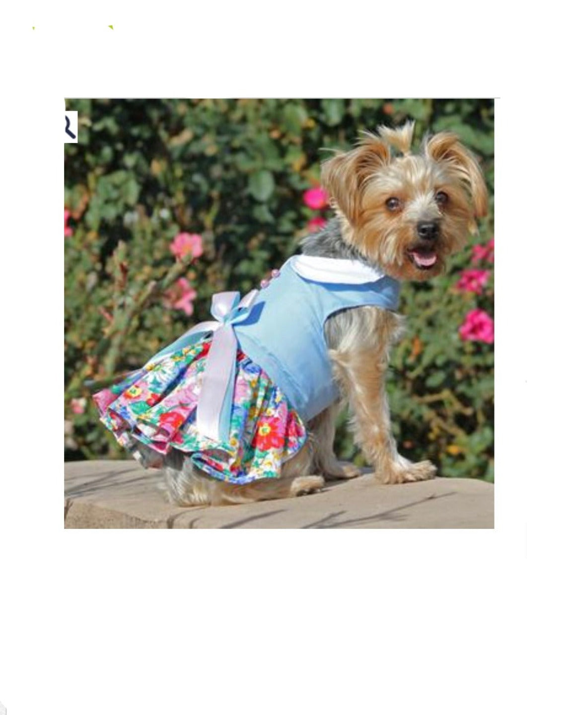 La Robe pour chien florale avec la laisse assortie