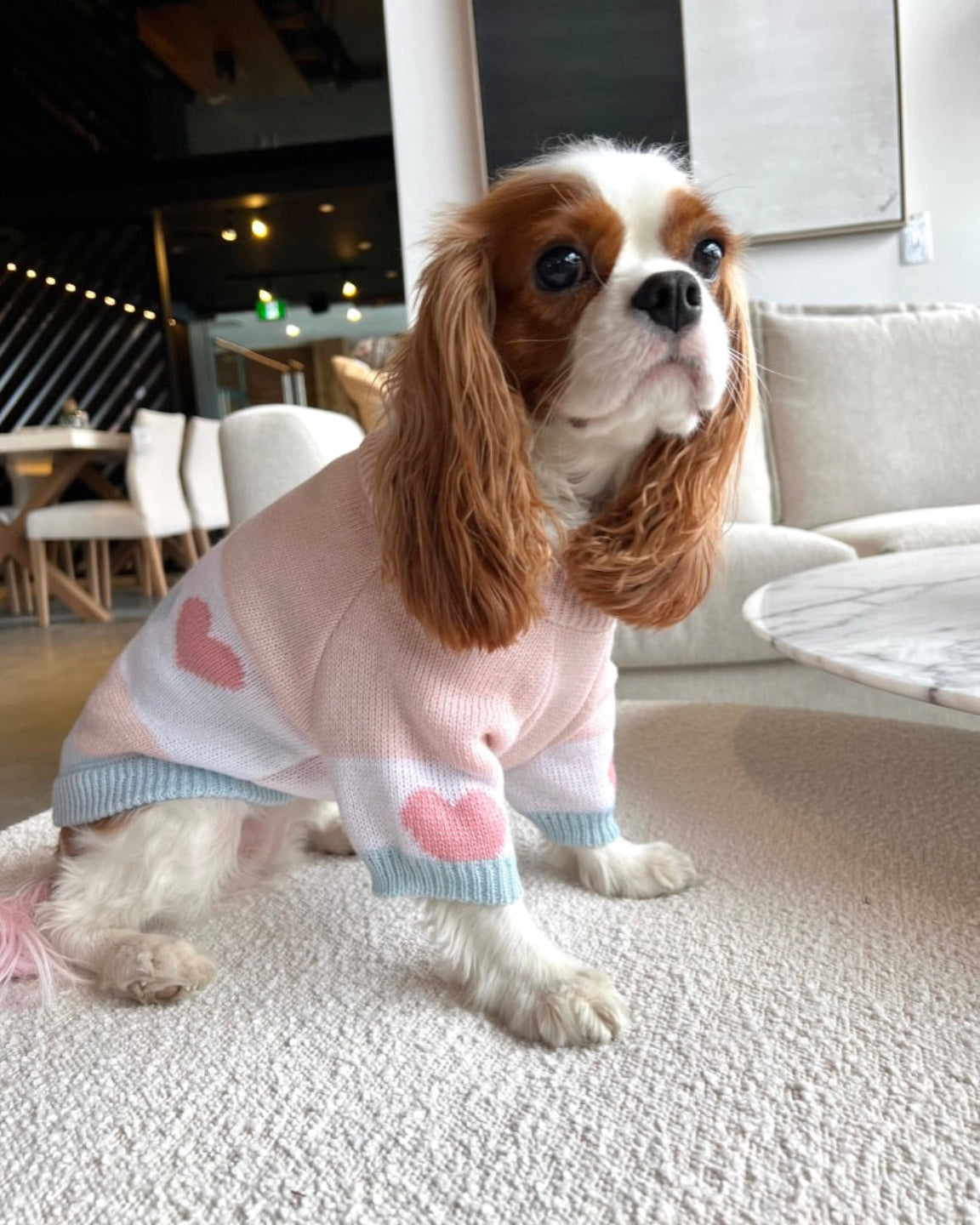 Le tricot pour chien coeur rose