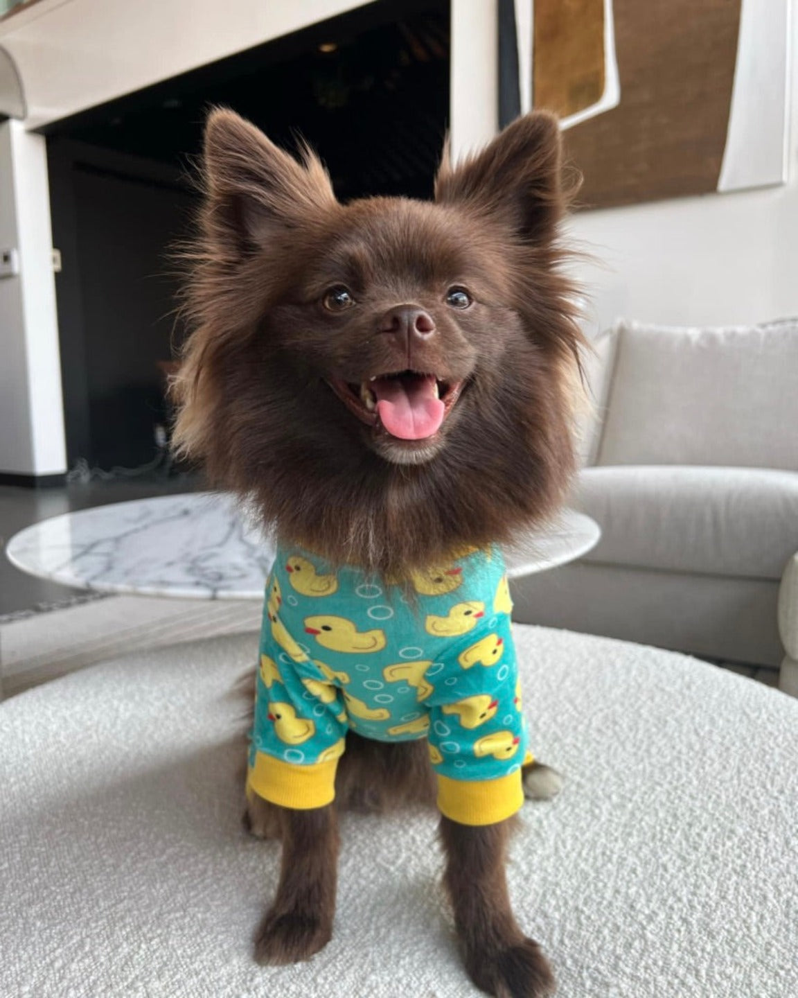 Le pyjama pour chien canard