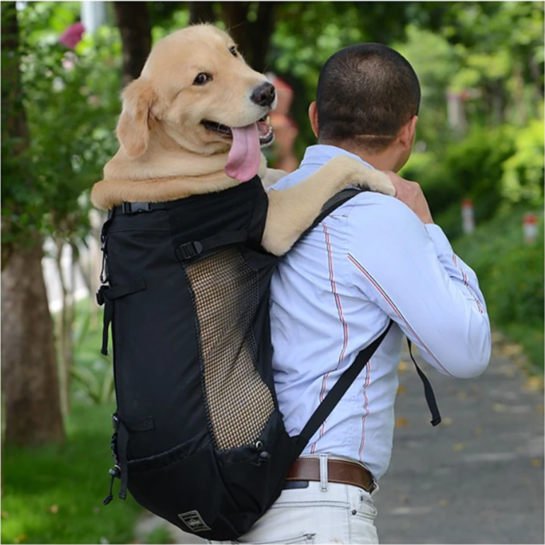 Le sac à dos pour chien