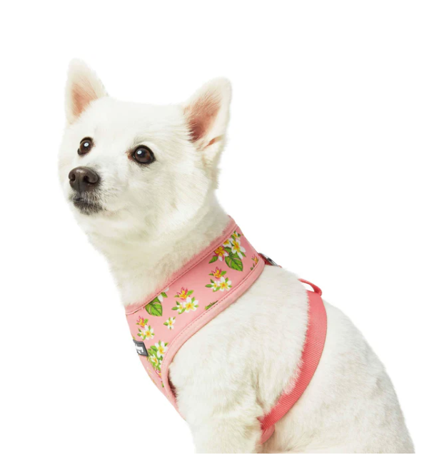 Le harnais pour chien floral rose