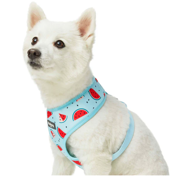 The watermelon harness