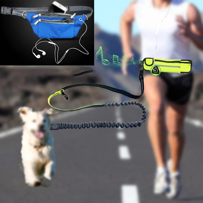 The racing leash and belly bag