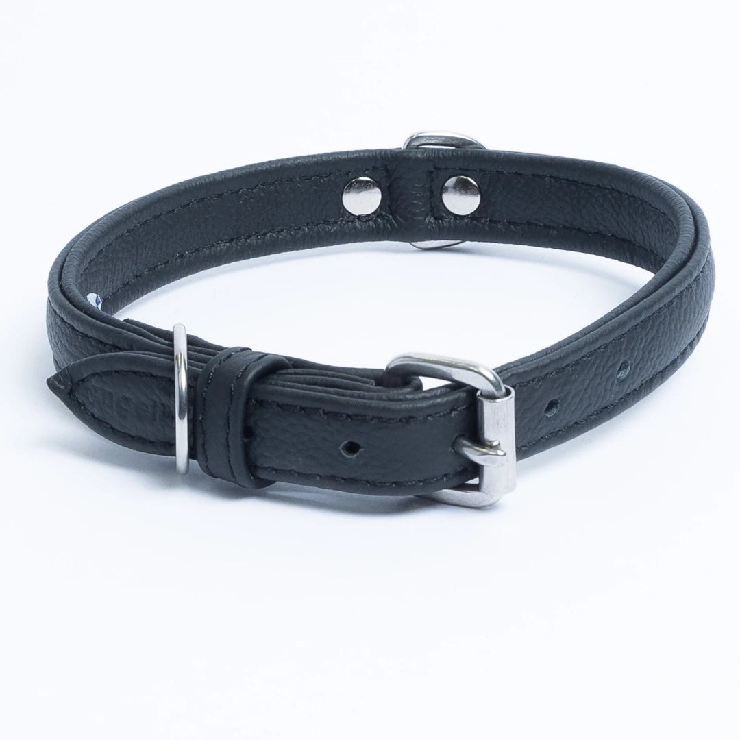 The black leather collar