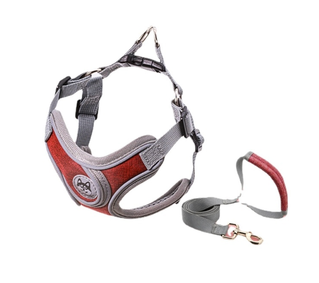 Le harnais pour chien rouge
