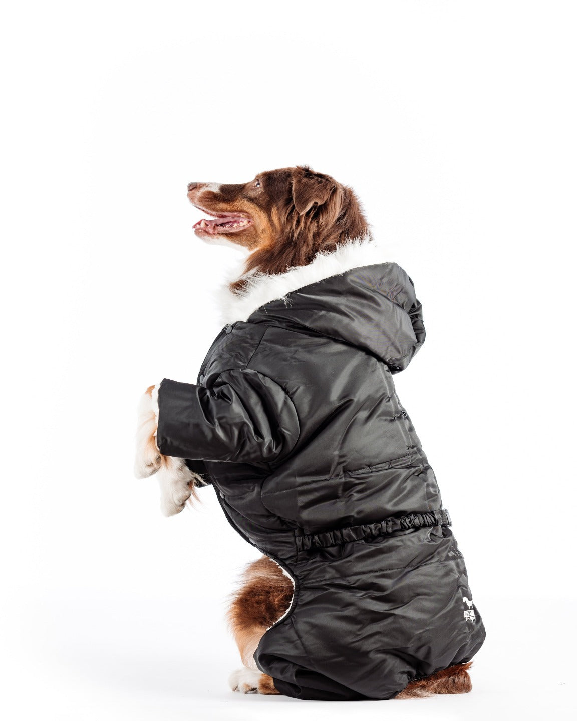 manteau fourrure pour chien