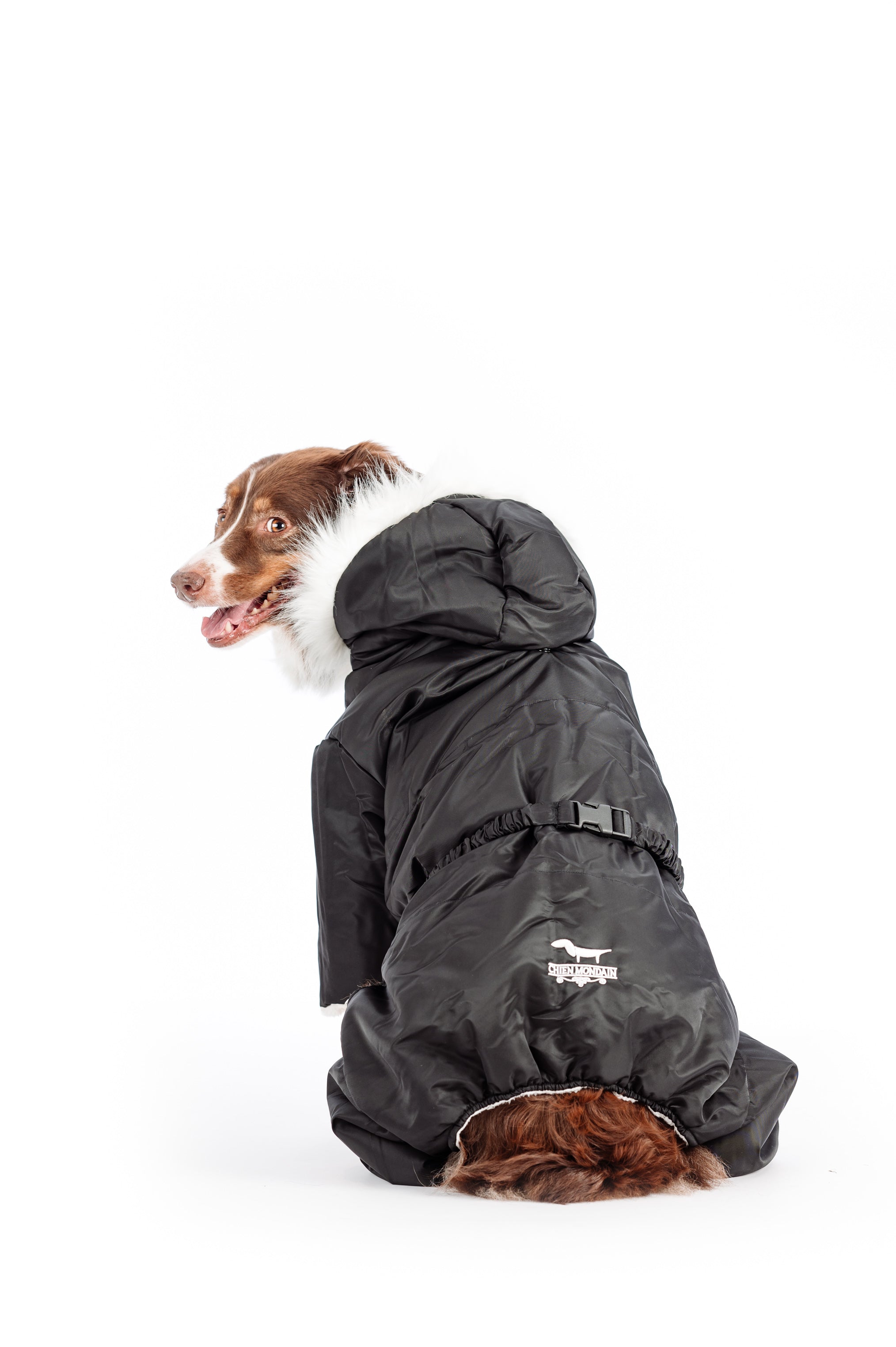 manteau hiver chien avec pattes