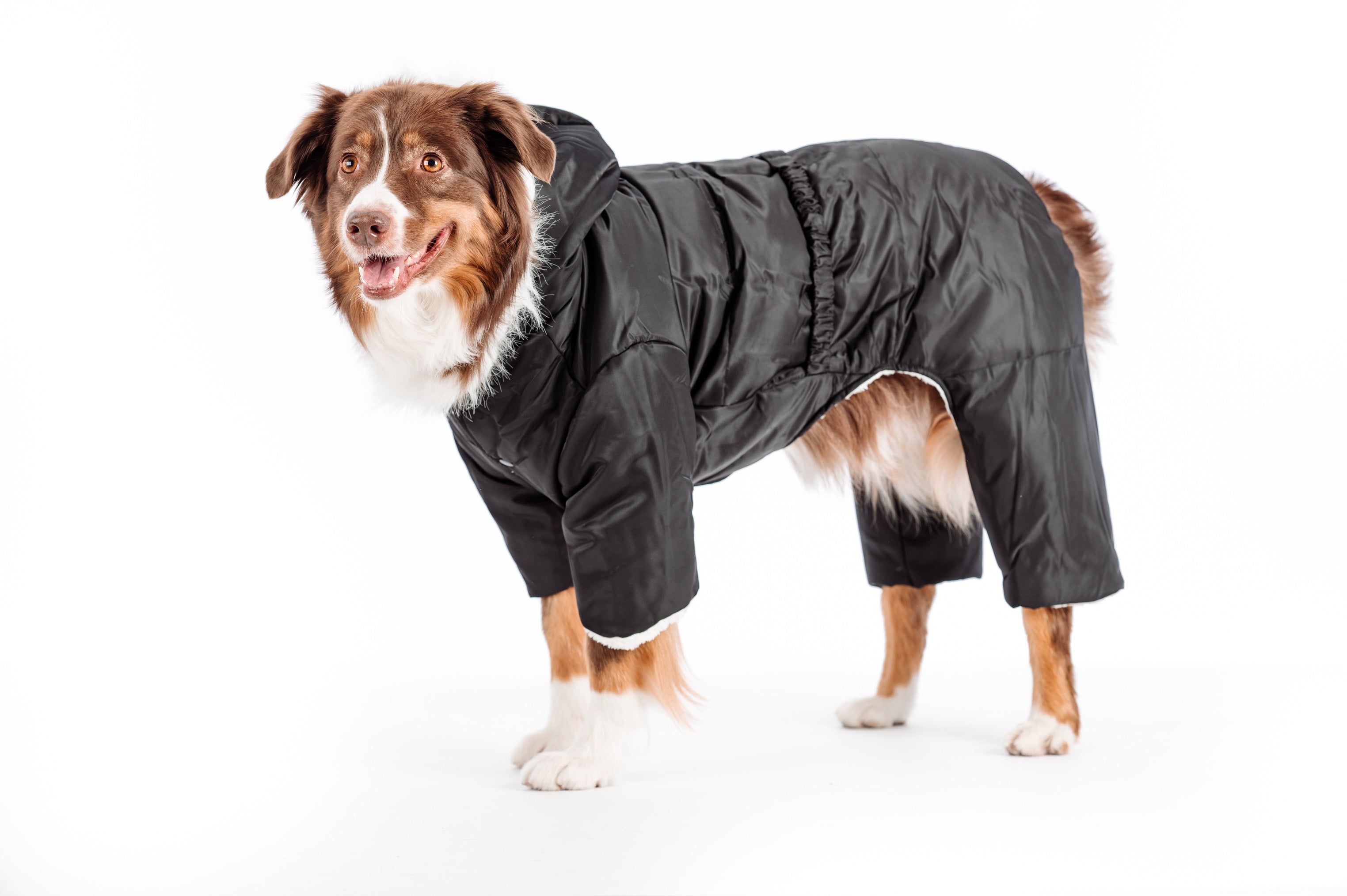 manteau chien avec pattes